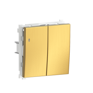 Выключатель двухклавишный встраиваемый Donel R98 Metal с подсветкой Золото матовое DA03105-DA285BR