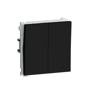 Выключатель двухклавишный встраиваемый Donel R98 звонкового типа Карбон матовый DA25100-DA29530