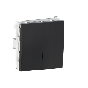 Выключатель двухклавишный встраиваемый звонковый Donel R98 Metal Вороненая сталь DA25100-DA295GS